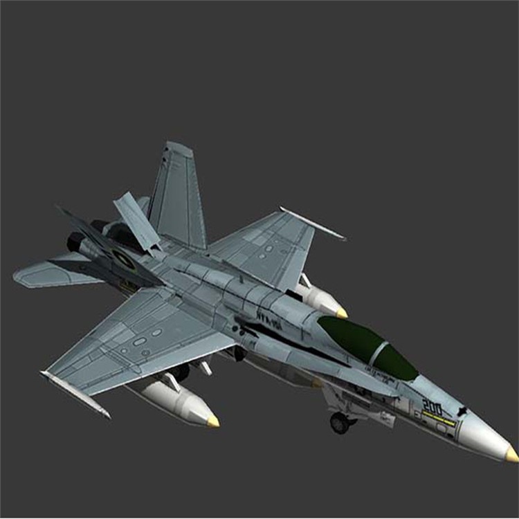 广州3D舰载战斗机模型